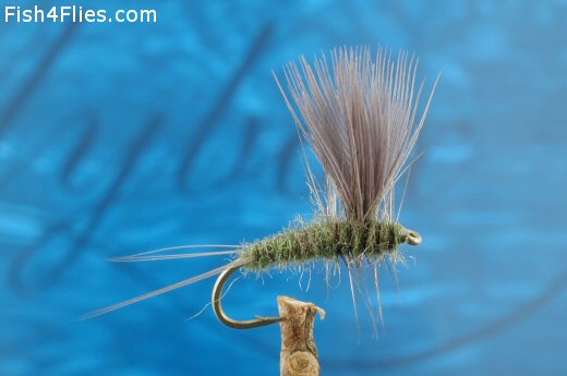 Fish4Flies Slate Olive Thorax Dun